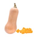 Butternut squash with cubes isolated on white background Royalty Free Stock Photo