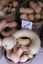 Butternut Squash at a farmers market Royalty Free Stock Photo