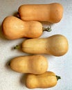 Butternut squash, four pumpkins of different sizes, arranged oblong pumpkins, vegetables, vegetarian food, natural products, autum