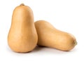 Butternut squash