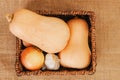 Butternut squash, galic, and onion in a basket, close-up on a rustic background, flat lay
