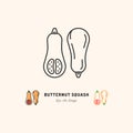 Butternut Squash icon Vegetables logo. Thin line art design