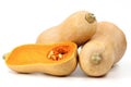 Butternut squash