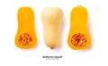 Butternut squash isolated on white background Royalty Free Stock Photo