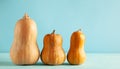 Butternut squash pumpkins on pastel blue background with copy space. Concept celebration of Halloween or Thanksgiving