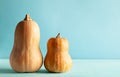 Butternut squash pumpkins on pastel blue background with copy space. Concept celebration of Halloween or Thanksgiving