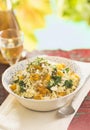 Butternut squash risotto Royalty Free Stock Photo