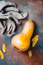 Butternut squash on rustic background. Healthy fall cooking concept.