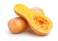 Butternut squash Royalty Free Stock Photo