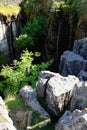 Buttertubs Limestone Potholes between Wensleydale and Swaledale, Yorkshire Dales, North Yorkshire, England