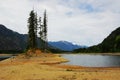 Buttle lake shore Royalty Free Stock Photo