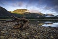 Buttle Lake in Strathcona Park on Vancouver Island Royalty Free Stock Photo