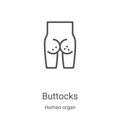 buttocks icon vector from human organ collection. Thin line buttocks outline icon vector illustration. Linear symbol for use on