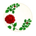 Button circle cracks in the porcelain and rose vintage vector Royalty Free Stock Photo