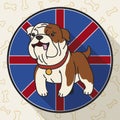 Button with Cute Bulldog in Flat Style over English Design, Vector Illustration Royalty Free Stock Photo