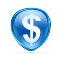 button dollar icon blue.