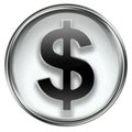 Button dollar icon grey