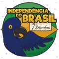 Button and Macaw Promoting Brazil Independence Day Celebration, Vector Illustration