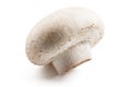 Button mushroom