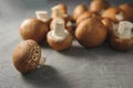 Button mushroom - swiss brown royal champignons