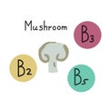 Button mushroom vector