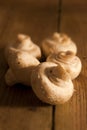 Button mushrooms. Royalty Free Stock Photo