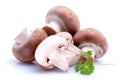 Button mushrooms Royalty Free Stock Photo