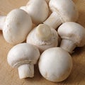 Button mushrooms Royalty Free Stock Photo