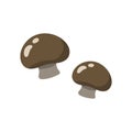 button mushrooms. Vector illustration decorative design