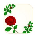 Button square cracks in the porcelain and rose vintage vector Royalty Free Stock Photo