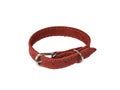 A buttoned red dog collar isolated on a white background Royalty Free Stock Photo