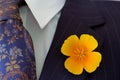 Buttonhole Royalty Free Stock Photo