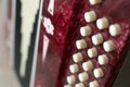 Buttons on the accordion close-up Royalty Free Stock Photo