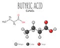 Butyric Acid Skeletal Structure and Flat Model Representation