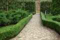 Buxus sempervirens boxwood in a classic English garden