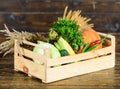 Buy fresh homegrown vegetables. Just from garden. Delivery service fresh vegetables from farm. Box or basket harvest Royalty Free Stock Photo