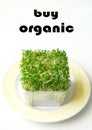 Buy Organic products alfalfa