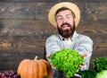 Buy vegetables local farm. Typical farmer guy. Farm market harvest festival. Man mature bearded farmer hold vegetables Royalty Free Stock Photo