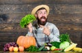 Buy vegetables local farm. Typical farmer guy. Farm market harvest festival. Man mature bearded farmer hold vegetables