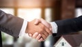 Buyer shaking hands with seller in house dealership. Choosing and buying house Royalty Free Stock Photo