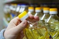 Buyer with sunflower oil in a grocery store. Womans hand holding sunflower oil bottle in supermarket. Close-up. Royalty Free Stock Photo