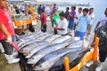 Buyers are checking the quality of tuna at the seaport