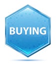 Buying crystal blue hexagon button