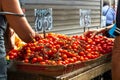 Fresh tomatoes for sale
