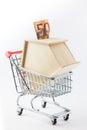House shaped money box into a shopping cart Royalty Free Stock Photo