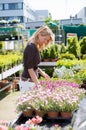 Buying new plants Royalty Free Stock Photo