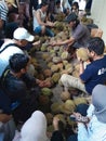 Buying and selling local durian in Sinapeul, Majalengka, Indonesia.