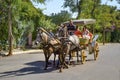 Buyukada Phaeton, Coachman Horse Carriage Ride Royalty Free Stock Photo