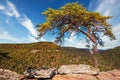 Buzzards Roost Over Look At Fall Creek Falls State Park Royalty Free Stock Photo