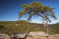 Buzzards Roost Over Look At Fall Creek Falls State Park